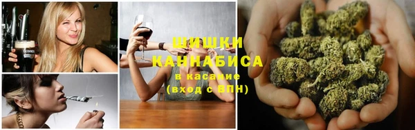 молекула духа Майский